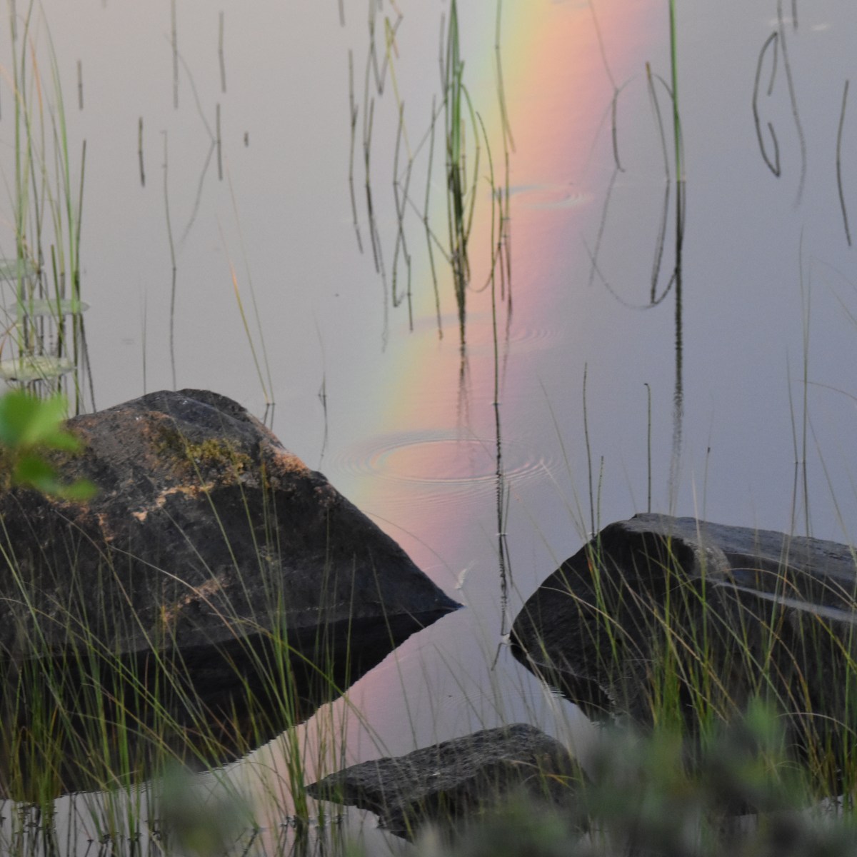 Fjellet mellan tjärnen