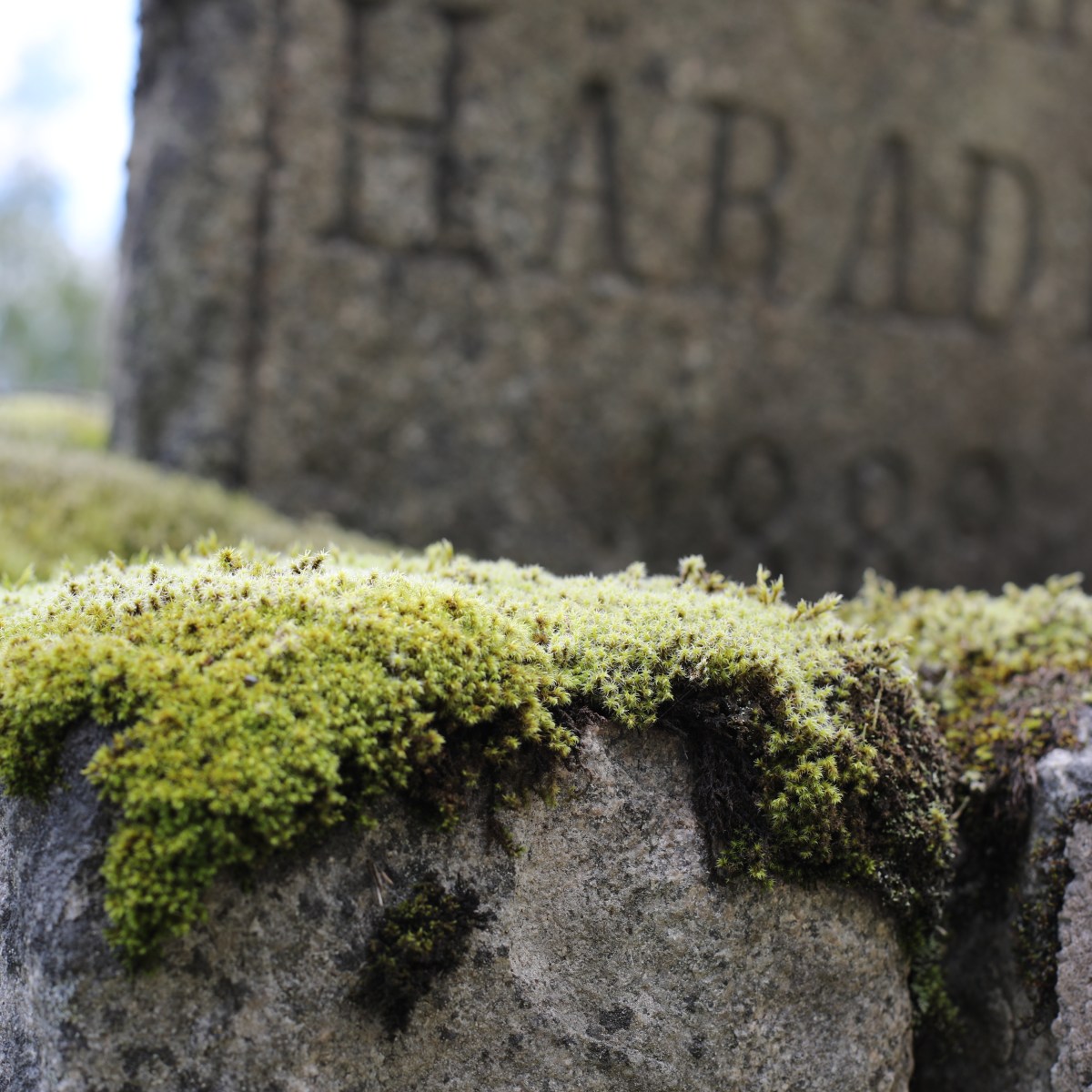 Raskillnad emellan Jösse och Nordmarks&nbsp;härader